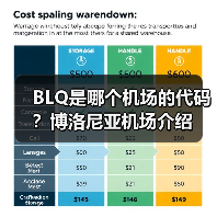 BLQ是哪个机场的代码？博洛尼亚机场介绍