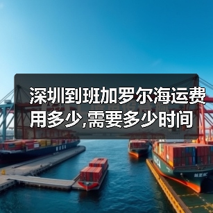 深圳到班加罗尔海运费用多少,需要多少时间（图4）