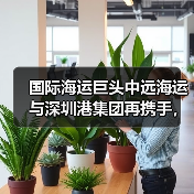 国际海运巨头中远海运与深圳港集团再携手,重构大湾区港航生态(双轮驱动,链通全球)(图3) 国际海运巨头中远海运与深圳港集团再携手,重构大湾区港航生态(双轮驱动,链通全球)(图3)