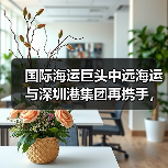 国际海运巨头中远海运与深圳港集团再携手,重构大湾区港航生态(双轮驱动,链通全球)(图4) 国际海运巨头中远海运与深圳港集团再携手,重构大湾区港航生态(双轮驱动,链通全球)(图4)
