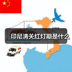 印尼清关红灯期是什么(图4) 印尼清关红灯期是什么(图4)
