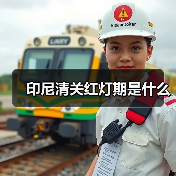 印尼清关红灯期是什么(图2) 印尼清关红灯期是什么(图2)