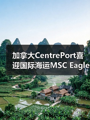 加拿大CentrePort喜迎国际海运MSC Eagle航线（定调北美中枢）（图3）