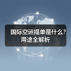 国际空运提单是什么?用途全解析(图3) 国际空运提单是什么?用途全解析(图3)