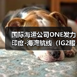 国际海运公司ONE发力印度-海湾航线(IG2服务强势登场) 国际海运公司ONE发力印度-海湾航线(IG2服务强势登场)