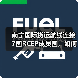 南宁国际货运航线连接7国RCEP成员国,如何助力区域经贸合作?(图4) 南宁国际货运航线连接7国RCEP成员国,如何助力区域经贸合作?(图4)