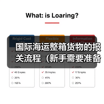国际海运整箱货物的报关流程（新手需要准备哪些资料）（图4）