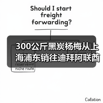 300公斤黑炭杨梅从上海浦东销往迪拜阿联酋(图2) 300公斤黑炭杨梅从上海浦东销往迪拜阿联酋(图2)