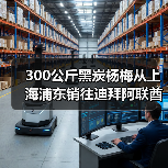 300公斤黑炭杨梅从上海浦东销往迪拜阿联酋(图4) 300公斤黑炭杨梅从上海浦东销往迪拜阿联酋(图4)