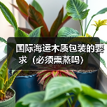 国际海运木质包装的要求（必须熏蒸吗）（图3）
