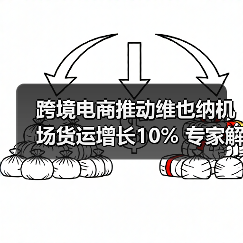 跨境电商推动维也纳机场货运增长10% 专家解读核心动力(图2) 跨境电商推动维也纳机场货运增长10% 专家解读核心动力(图2)