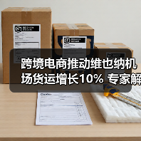 跨境电商推动维也纳机场货运增长10% 专家解读核心动力(图4) 跨境电商推动维也纳机场货运增长10% 专家解读核心动力(图4)