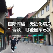 国际海运“无纸化清关”普及:哪些国家已实现,流程省在哪(图4) 国际海运“无纸化清关”普及:哪些国家已实现,流程省在哪(图4)