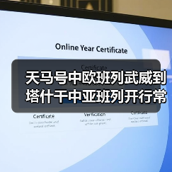 天马号中欧班列武威到塔什干中亚班列开行常态化(图4) 天马号中欧班列武威到塔什干中亚班列开行常态化(图4)