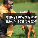 为何浦东机场国际空运量暴涨?跨境电商驱动全球货运新引擎(图2) 为何浦东机场国际空运量暴涨?跨境电商驱动全球货运新引擎(图2)