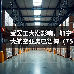 受罢工大潮影响,加拿大航空业务已暂停(75%的国际空运受影响)(图4) 受罢工大潮影响,加拿大航空业务已暂停(75%的国际空运受影响)(图4)