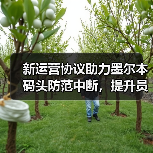 新运营协议助力墨尔本码头防范中断,提升员工福利与行业灵活性(图3) 新运营协议助力墨尔本码头防范中断,提升员工福利与行业灵活性(图3)