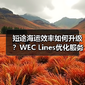 短途海运效率如何升级?WEC Lines优化服务方案(图3) 短途海运效率如何升级?WEC Lines优化服务方案(图3)