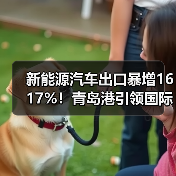 新能源汽车出口暴增1617%!青岛港引领国际海运新趋势 新能源汽车出口暴增1617%!青岛港引领国际海运新趋势