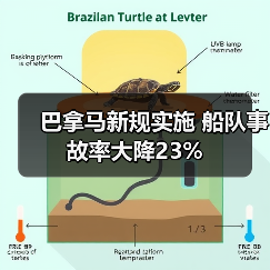 巴拿马新规实施 船队事故率大降23%（图2）