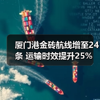 厦门港金砖航线增至24条 运输时效提升25%(图4) 厦门港金砖航线增至24条 运输时效提升25%(图4)
