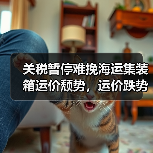 关税暂停难挽海运集装箱运价颓势,运价跌势不止 关税暂停难挽海运集装箱运价颓势,运价跌势不止