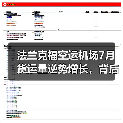 法兰克福空运机场7月货运量逆势增长,背后原因何在?(图3) 法兰克福空运机场7月货运量逆势增长,背后原因何在?(图3)
