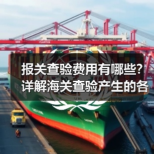 报关查验费用有哪些?详解海关查验产生的各项成本(图4) 报关查验费用有哪些?详解海关查验产生的各项成本(图4)