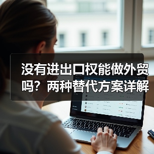 没有进出口权能做外贸吗?两种替代方案详解(图4) 没有进出口权能做外贸吗?两种替代方案详解(图4)