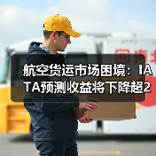 航空货运市场困境:IATA预测收益将下降超22%(图3) 航空货运市场困境:IATA预测收益将下降超22%(图3)