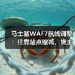 马士基WAF7航线调整:挂靠站点缩减,货主货代需提前规划(图3) 马士基WAF7航线调整:挂靠站点缩减,货主货代需提前规划(图3)