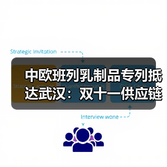 中欧班列乳制品专列抵达武汉:双十一供应链新突破(图4) 中欧班列乳制品专列抵达武汉:双十一供应链新突破(图4)