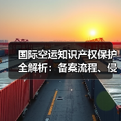 国际空运知识产权保护全解析:备案流程、侵权处置与国际条约应对(图3) 国际空运知识产权保护全解析:备案流程、侵权处置与国际条约应对(图3)