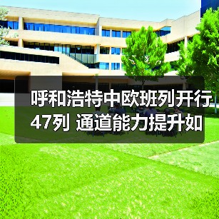 呼和浩特中欧班列开行47列 通道能力提升如何助力一带一路(图4) 呼和浩特中欧班列开行47列 通道能力提升如何助力一带一路(图4)