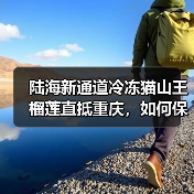 陆海新通道冷冻猫山王榴莲直抵重庆，如何保鲜通关？
