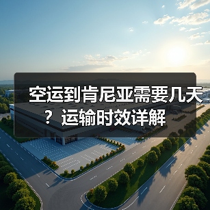 空运到肯尼亚需要几天?运输时效详解(图3) 空运到肯尼亚需要几天?运输时效详解(图3)