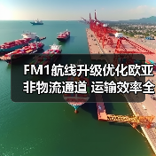 FM1航线升级优化欧亚非物流通道 运输效率全面跃升(图3) FM1航线升级优化欧亚非物流通道 运输效率全面跃升(图3)