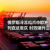 俄罗斯冷冻鸡爪中欧班列直达重庆 时效提升三成（图3）