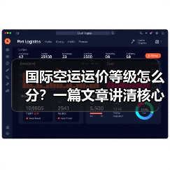 国际空运运价等级怎么分?一篇文章讲清核心分类与适用条件(图4) 国际空运运价等级怎么分?一篇文章讲清核心分类与适用条件(图4)