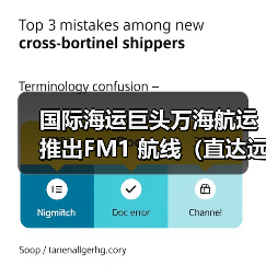 国际海运巨头万海航运推出FM1 航线(直达远东和地中海港口)(图4) 国际海运巨头万海航运推出FM1 航线(直达远东和地中海港口)(图4)
