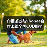 印尼邮政与Shopee合作上线全国COD服务(助力中小企业拓展全国市场)(图4) 印尼邮政与Shopee合作上线全国COD服务(助力中小企业拓展全国市场)(图4)