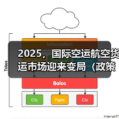 2025，国际空运航空货运市场迎来变局（政策与地缘政治：增添市场变数）（图3）