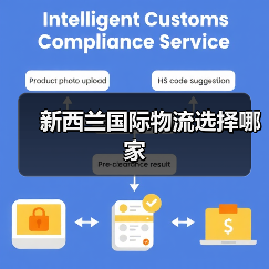 新西兰国际物流选择哪家(图4) 新西兰国际物流选择哪家(图4)