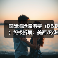 国际海运滞港费(D&D)终极拆解:美西/欧洲/东南亚港口免租期新规对比 国际海运滞港费(D&D)终极拆解:美西/欧洲/东南亚港口免租期新规对比