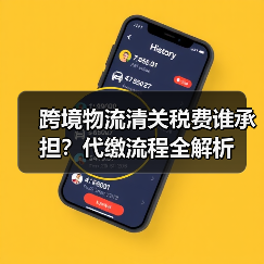 跨境物流清关税费谁承担?代缴流程全解析(图4) 跨境物流清关税费谁承担?代缴流程全解析(图4)