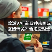 欧洲VAT新政冲击国际空运清关?合规应对全解析(图2) 欧洲VAT新政冲击国际空运清关?合规应对全解析(图2)