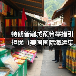 特朗普削减预算举措引担忧（美国国际海运集装箱港口发出紧急警告）（图4）