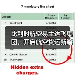 比利时航空易主达飞集团,开启航空货运新篇章(国际空运新闻资讯)(图4) 比利时航空易主达飞集团,开启航空货运新篇章(国际空运新闻资讯)(图4)