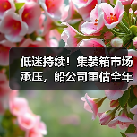 低迷持续!集装箱市场承压,船公司重估全年业绩目标(国际海运新闻资讯)(图2) 低迷持续!集装箱市场承压,船公司重估全年业绩目标(国际海运新闻资讯)(图2)