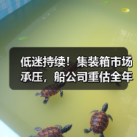 低迷持续!集装箱市场承压,船公司重估全年业绩目标(国际海运新闻资讯)(图3) 低迷持续!集装箱市场承压,船公司重估全年业绩目标(国际海运新闻资讯)(图3)
